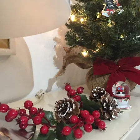 Διαμέρισμα Lovely Irnerio ❤ Flat Near S. Pietro ★